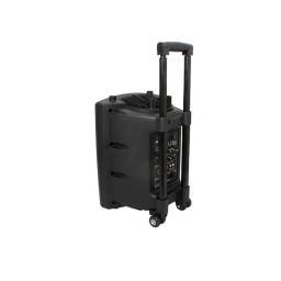 IBIZA SOUND PORT10VHF-BT PACK-1 - 1 2