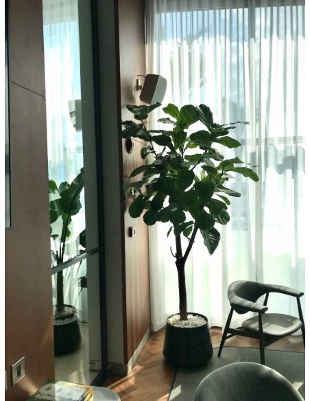 WORK Pro NEO 4 Caja acústica pasiva 30 W @ 8 Ohm, 16/8/4/2 W @ L100V.