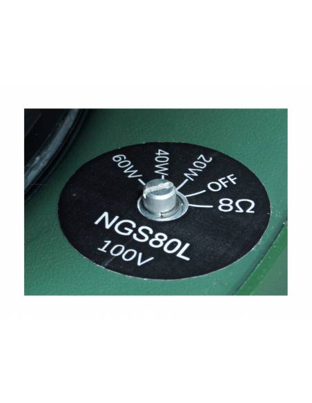 WORK Pro NGS 80 L Altavoz para jardín