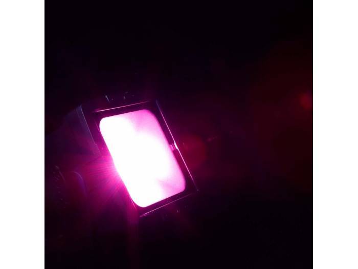 Cameo FLAT PRO FLOOD IP65 TRI - Proyector con LED COB tricolor de 60 W para uso en exteriores con carcasa negra