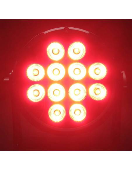 Cameo FLAT PRO® 12 IP65 - Foco Outdoor PAR LED RGBWA plano 12 x 10 W con Carcasa negra