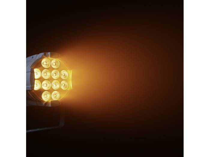 Cameo STUDIO PAR DTW - 