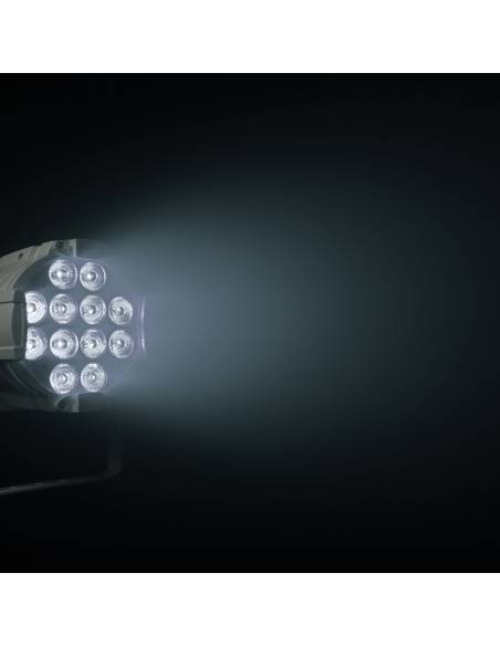 Cameo STUDIO PAR DTW - 