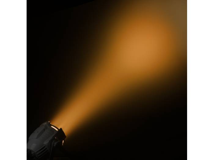 Cameo STUDIO PAR DTW - 