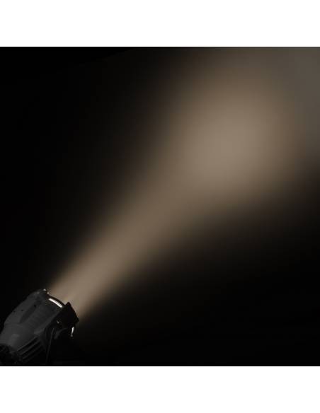 Cameo STUDIO PAR DTW - 