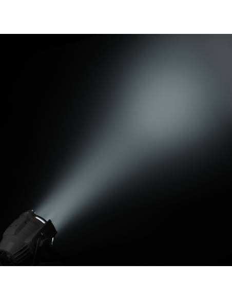 Cameo STUDIO PAR DTW - 