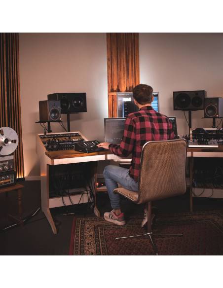 Palmer MONICON XL - Controlador de monitor de estudio activo - 16