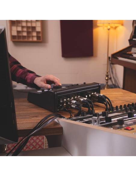 Palmer MONICON XL - Controlador de monitor de estudio activo - 21