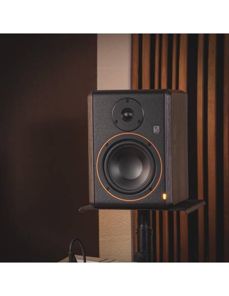 Palmer STUDIMON 5 - Monitor amplificado de campo cercano de 5" para estudio - 12