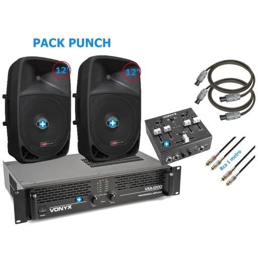 Equipo de sonido Pyle Pro PACK PUNCH