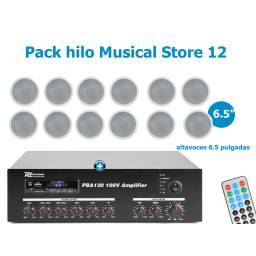 Pack hilo Musical Store-12 - Equipo de sonido con 12 altavoces y amplificador