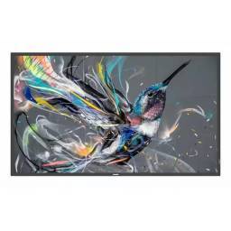 Philips 75" Q-Line  18/7, 4K UHD, USB auto play, LAN - 1