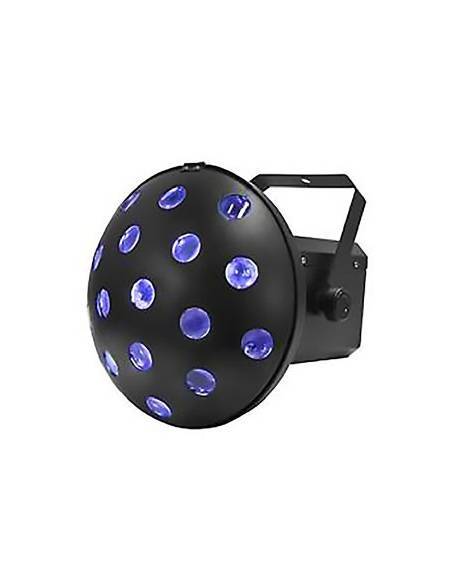 Black Label Led Fiesta - 8