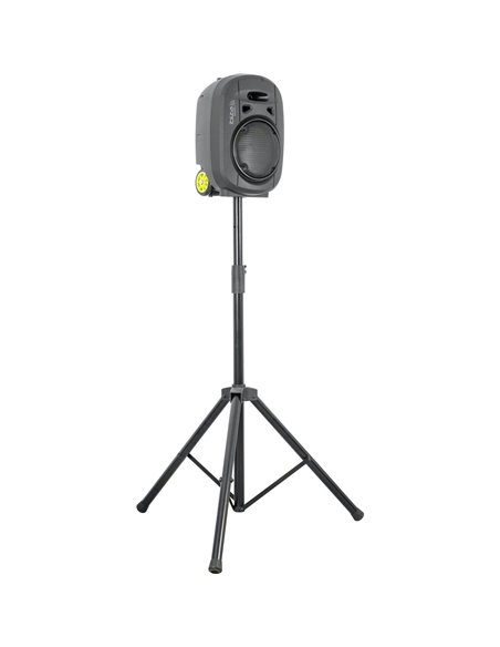 IBIS 8'' PORTABLE PA SYSTEM/2 VHF MIC/USB-MP3/VOX, BLUETOOTH PORT8VHF-MKII-TWS