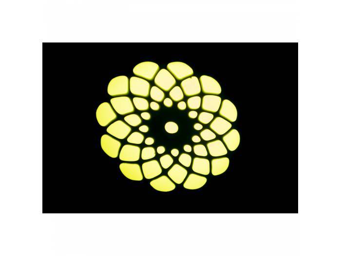 Ibiza Light STAR-WASH-WH Mini Móvil Cabeza Wash con Spot 30W Blanca - 6