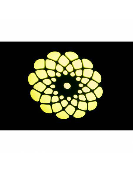 Ibiza Light STAR-WASH-BL Mini Móvil Cabeza Wash con Spot 30W - 6