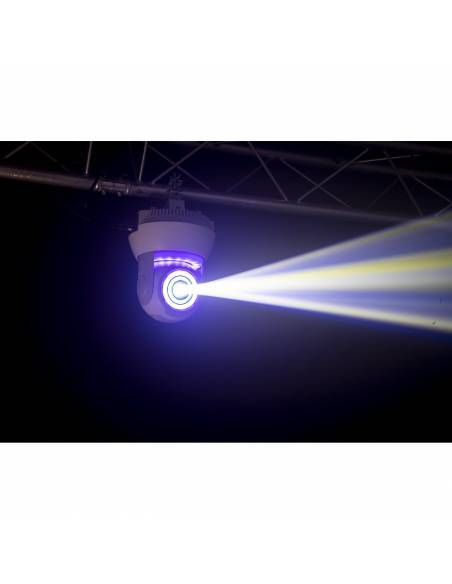 Ibiza Light STAR-WASH-BL Mini Móvil Cabeza Wash con Spot 30W - 8