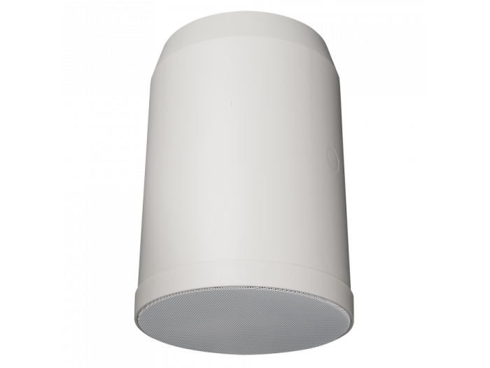 DAP Audio HS-620P Altavoz para colgar de 20 W, 6" - 1