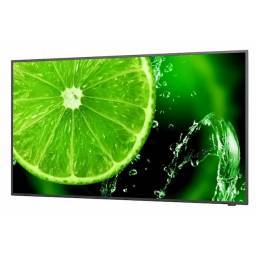 NEC MultiSync E658 65" Display - 1