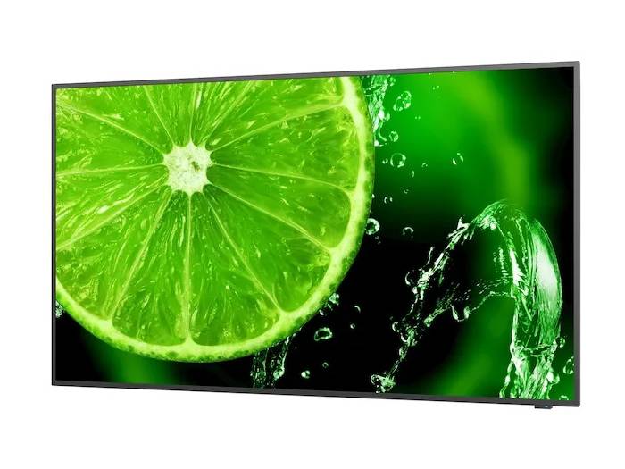 NEC MultiSync E658 65" Display - 1