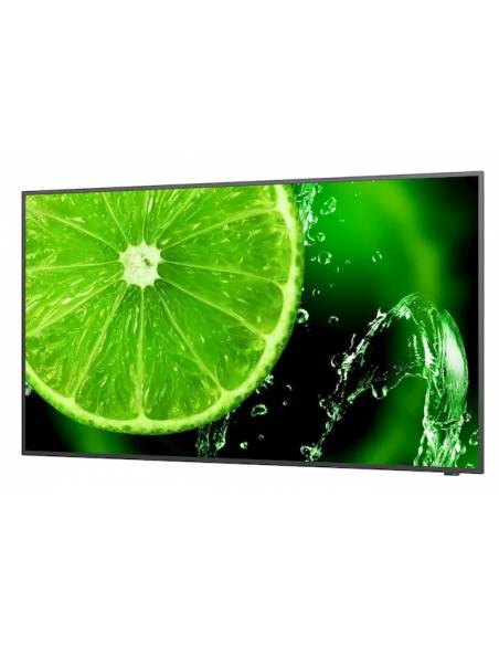 NEC MultiSync E658 65" Display - 1