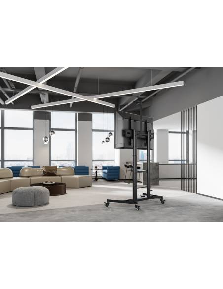 FONESTAR  STS-42103N - 6