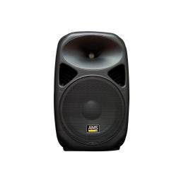 AMS ASP 415 MKII Altavoz Pasivo 15"