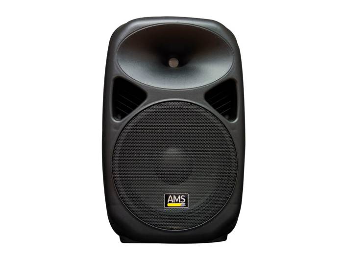 AMS ASP 415 MKII Altavoz Pasivo 15"