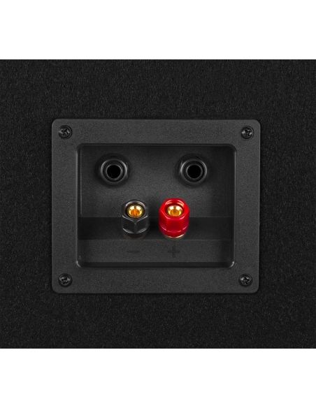 Vonyx SL6 Altavoces PRO Pasivos 6" 250W Pareja 178727 By-Skytec - 6