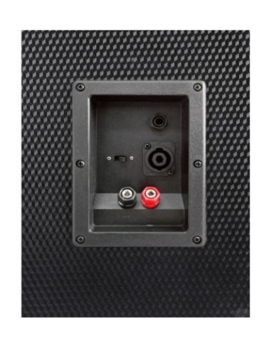 Fenton TL8LED: Altavoz Pasivo 8" con Luces RGB - 400W
