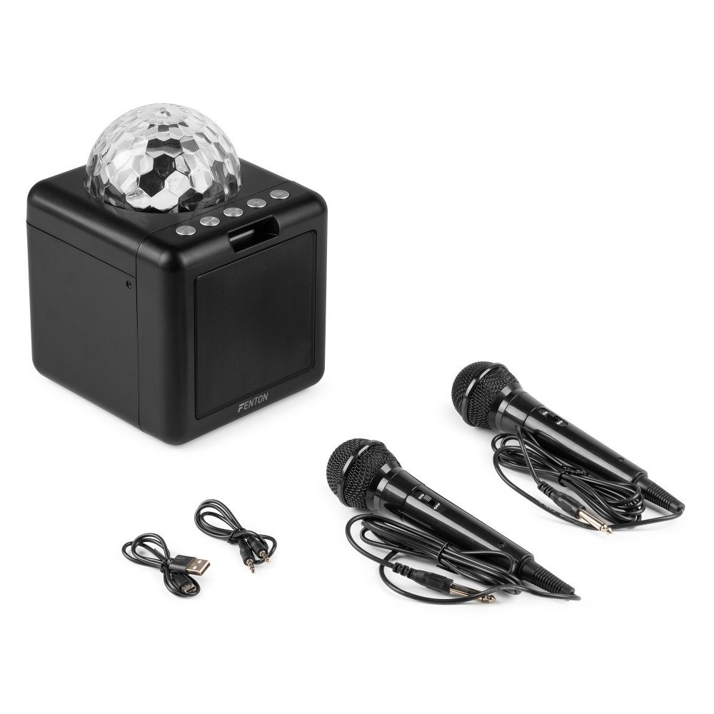 Fenton  KAR15B Altavoz Karaoke con 2 micrófonos Negro