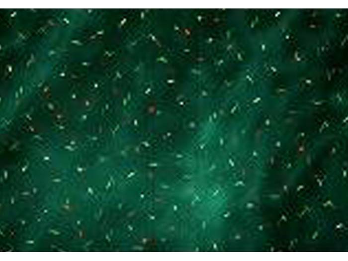 Black Label Moonlight | Mas Que Sonido