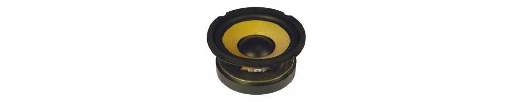 Recambios Altavoces