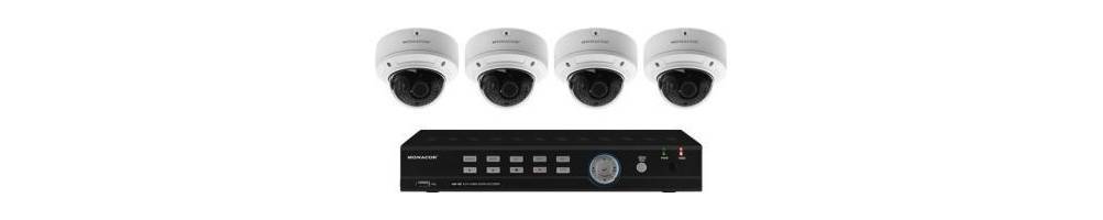 Seguridad y Vigilancia